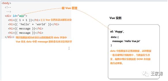 Vue.js使用详解