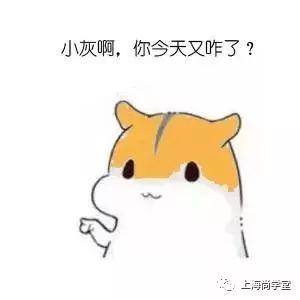 开心漫画学JAVA：当程序员面试遇上智力测验