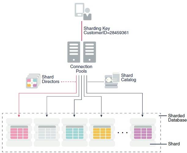 Oracle Sharding：开启Oracle数据分布时代