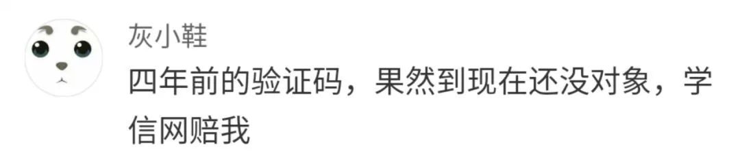 我在网上被验证码骂了？哈哈哈这是什么奇葩验证码啊！