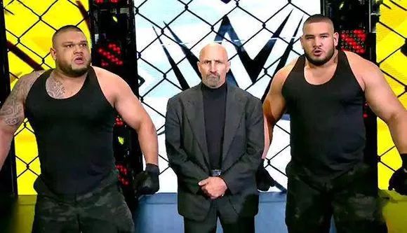 科普The Authors of Pain（aop）