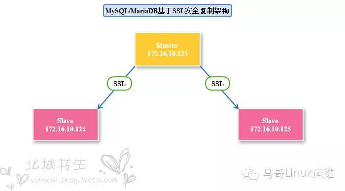 【干货 | 原创 】MySQL/MariaDB数据库基于SSL实现主从复制