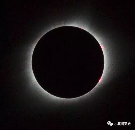 美国小学生Maggie的日常| Solar Eclipse 观日食