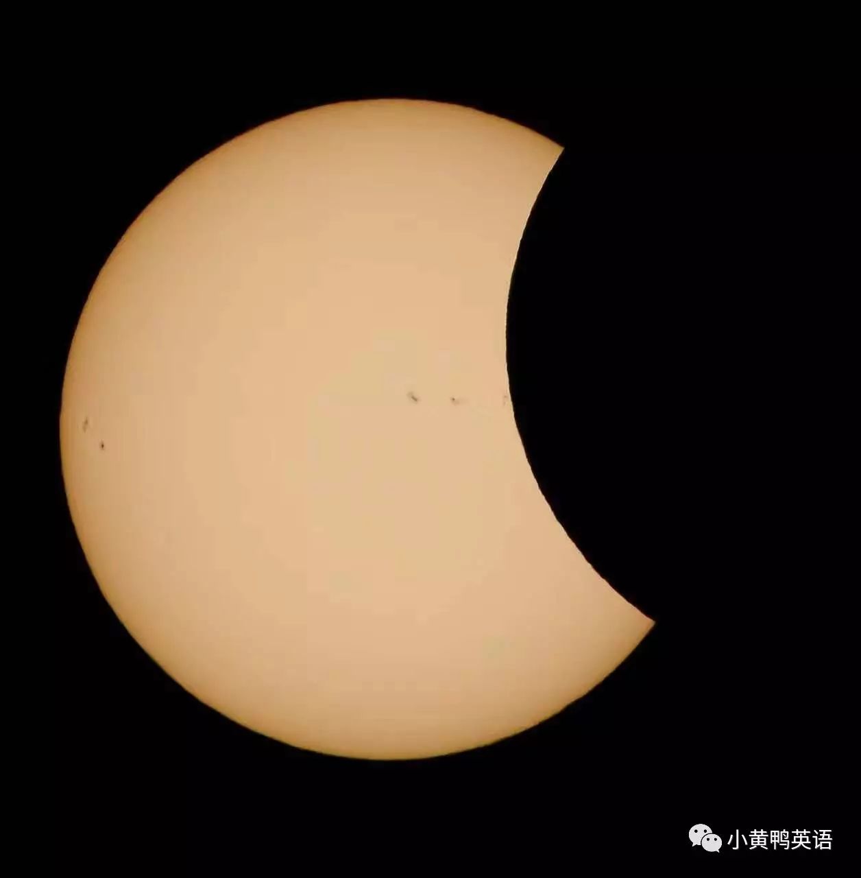 美国小学生Maggie的日常| Solar Eclipse 观日食