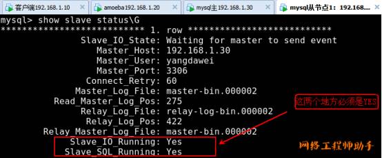 linux企业级管理之"MySQL主从复制与读写分离"