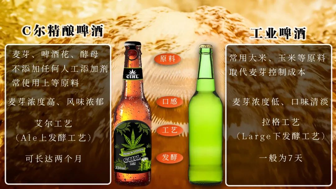 喝C尔精酿啤酒，品大麻文化~云南省项目管理协会会员企业产品展示