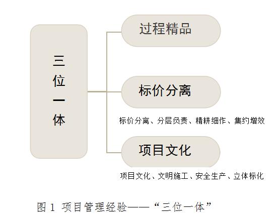 项目管理的形式