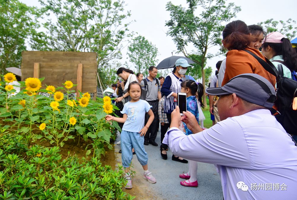 【新闻】大客流压力测试顺利完成，3.8万名游客入园“尝鲜”园博盛会！