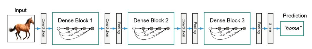 你的手泄露了你的性别与年龄（内附CNTK与PyTorch 代码）