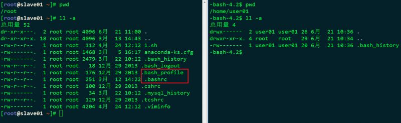 故障-bash-4.1$ 的解决