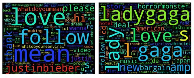 6-4 wordcloud lady gaga