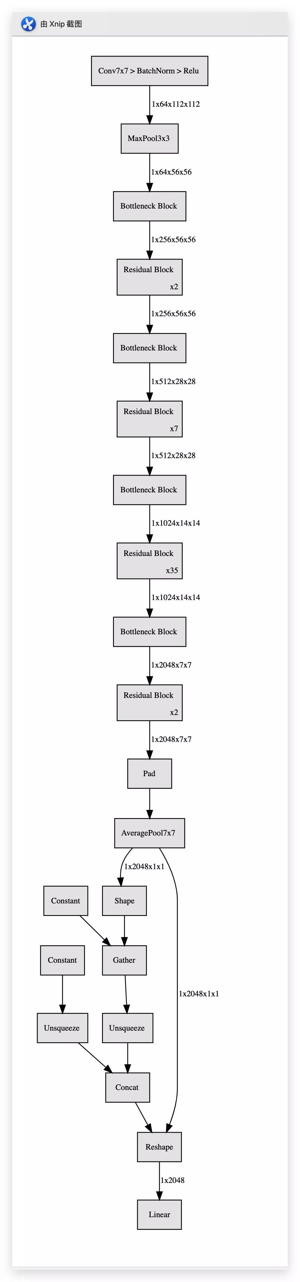 神经网络长什么样不知道?这有一份简单的 pytorch可视化技巧(1)