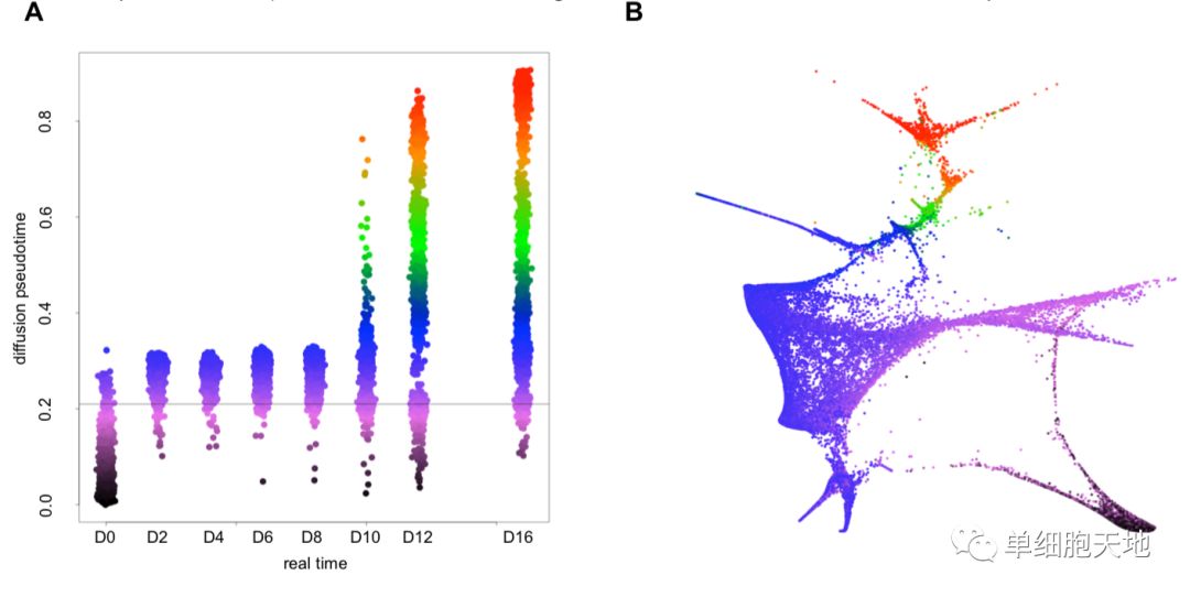时间序列单细胞转录组数据分析