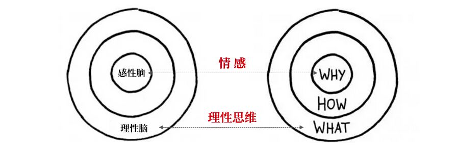 HR在面试的时候突然骂我, 是压力测试吗？