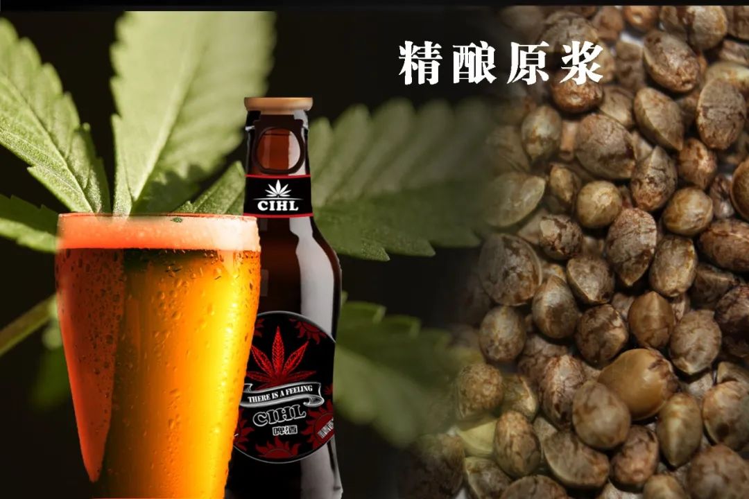 喝C尔精酿啤酒，品大麻文化~云南省项目管理协会会员企业产品展示