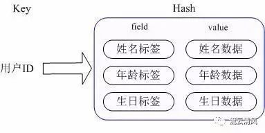 Redis和Memcached的区别