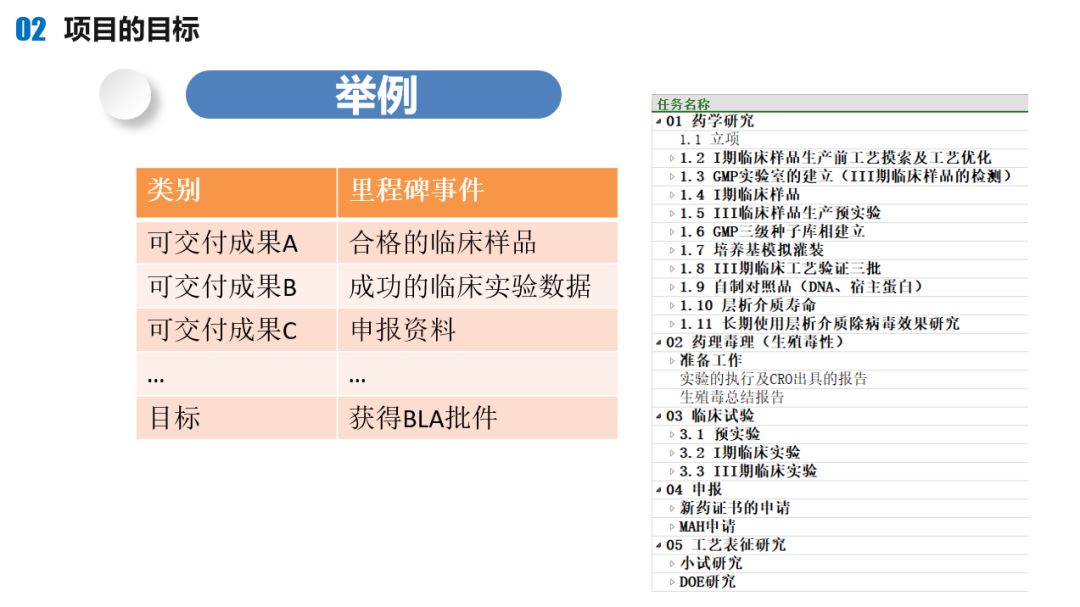 项目管理概述