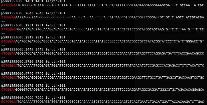 正则表达式与grep