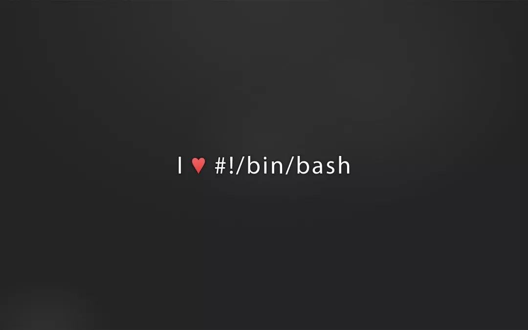 面向运维小白的 Bash 指南