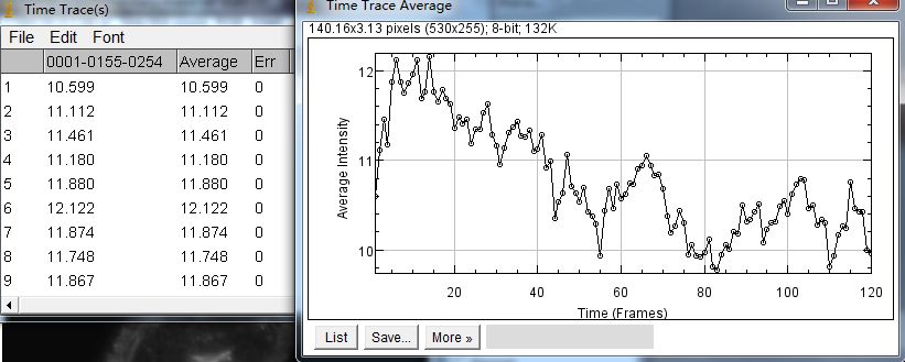 干货 | ImageJ分析时间序列图像