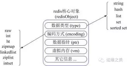 详述Redis和Memcached的区别