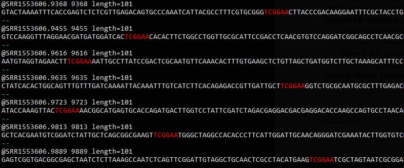 正则表达式与grep