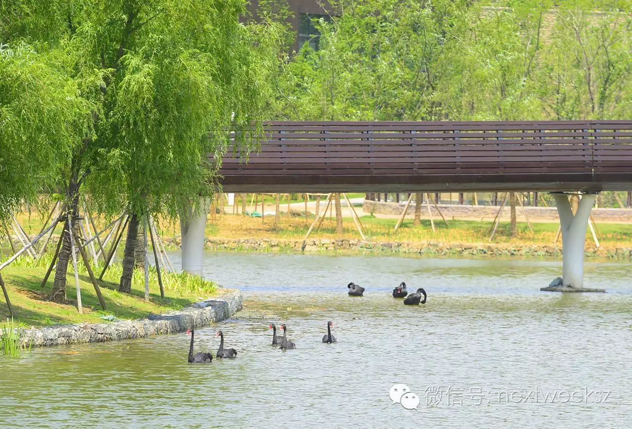 好消息！新动物园明天压力测试全免费，想要票的话……