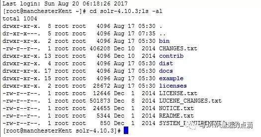 Solr----有趣的全文检索（linux部署篇）