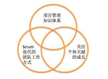 重新定义项目管理 — 个人蜕变，组织转型