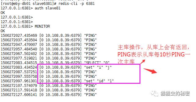 Redis一台主机多实例主从同步