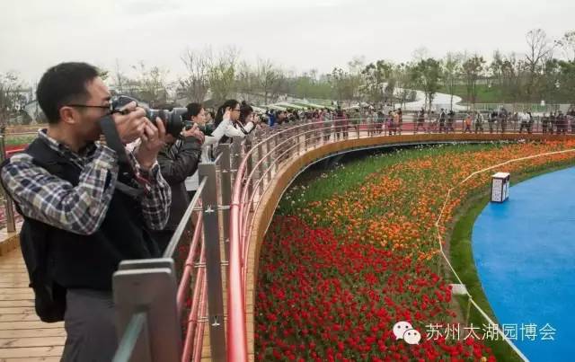 苏州太湖园博会压力测试第一天，园内精彩汇总~