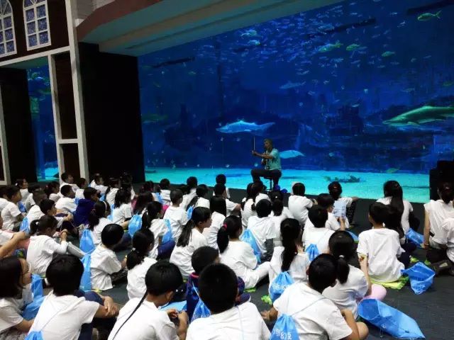 GO！GO！GO！十一深海世界造起来！——夜宿海洋馆亲子，单飞统统都有