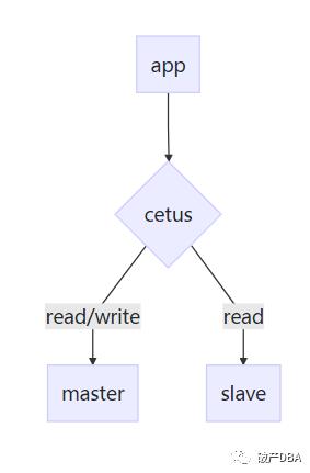 网易cetus初探--读写分离
