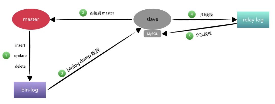 终于学会了 MySQL 主从配置和读写分离