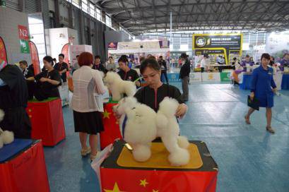 首个亚洲犬展 | 狗狗，Go! Go! Go!