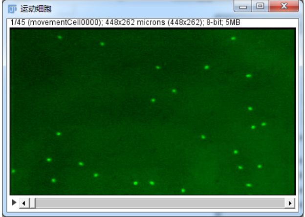 干货 | ImageJ分析时间序列图像