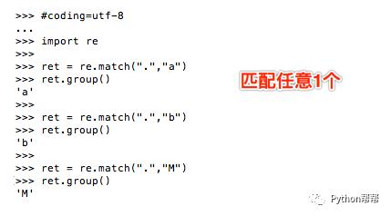 day22.正则表达式【Python教程】