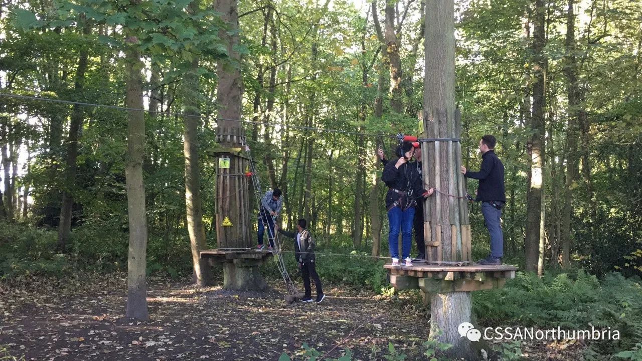 【回顾 Go ape】再不疯狂我们就老了