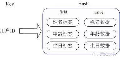 详述Redis和Memcached的区别