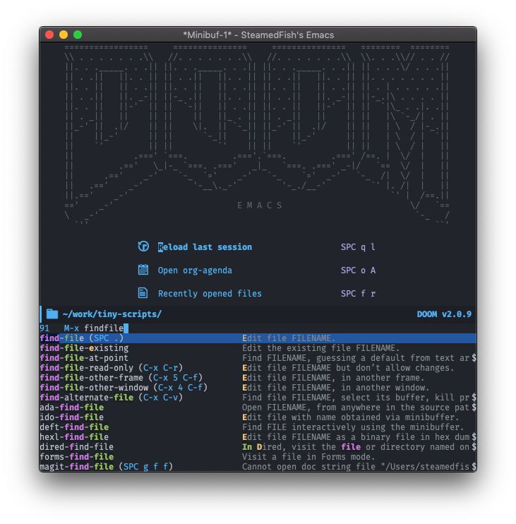 Doom Emacs 简介