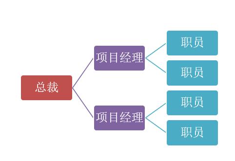 第2章 信息系统项目管理基础（要点+脑图）