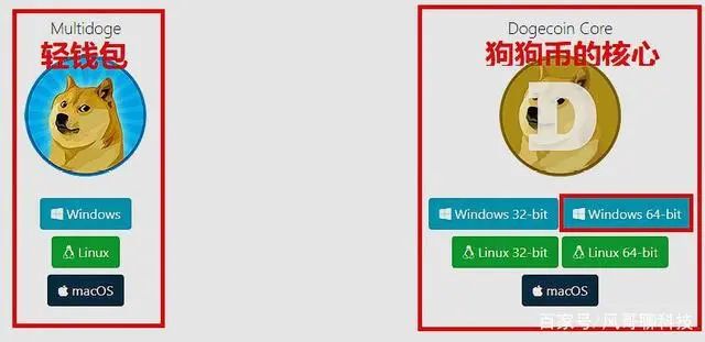 挖矿教程：突然火爆的狗狗币原来在Win10上这么好挖！