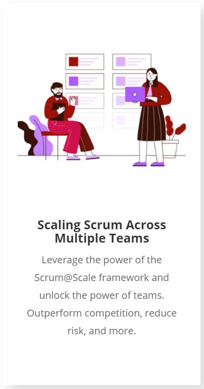 Scrum Inc.推出对王蕾老师的重磅报道