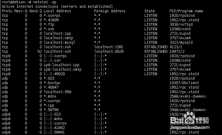 linux如何查看端口相关信息