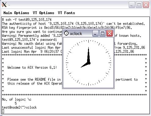 图 8. Cygwin/X 方式配置成功后的效果图