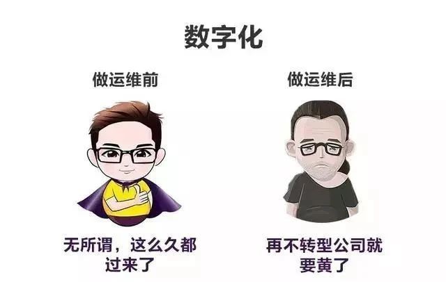 做运维前 vs 做运维后，太形象了！