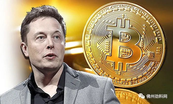 Tesla弹弓手停Bitcoin买车，加密币全线急泻