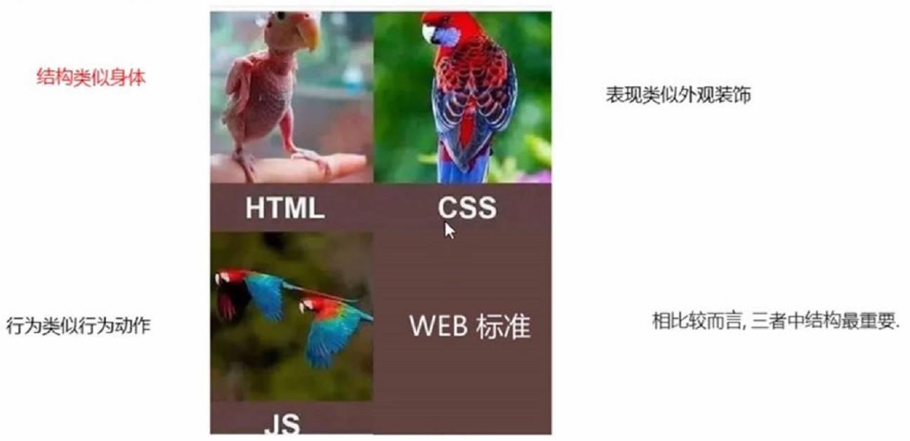 web标准最佳体验方案类比图.png