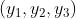 (y_{1},y_{2},y_{3})