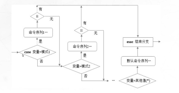 case图